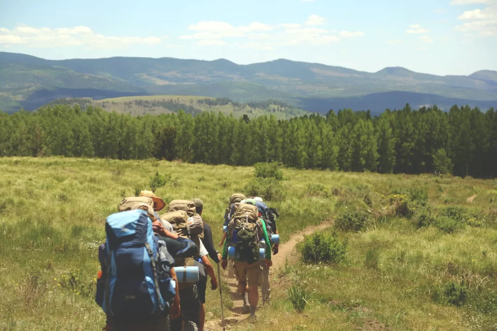 Why Hiking Is Fun: Top 5 Reasons